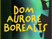 Dom aurore borealis